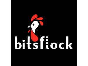 Bitsflock: A smart poultry application