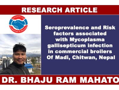 Seroprevalence and Risk factors associated with Mycoplasma gallisepticum infection in commercial broilers Of Madi, Chitwan, Nepal
