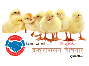 Poultry Webinar for Farmers