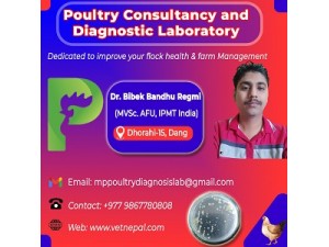 Poultry Consultancy and Diagnostic Lab