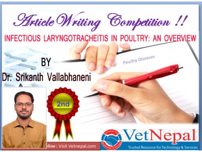INFECTIOUS LARYNGOTRACHEITIS IN POULTRY: AN OVERVIEW