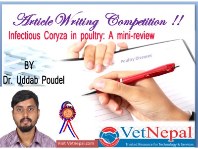 Infectious Coryza in poultry