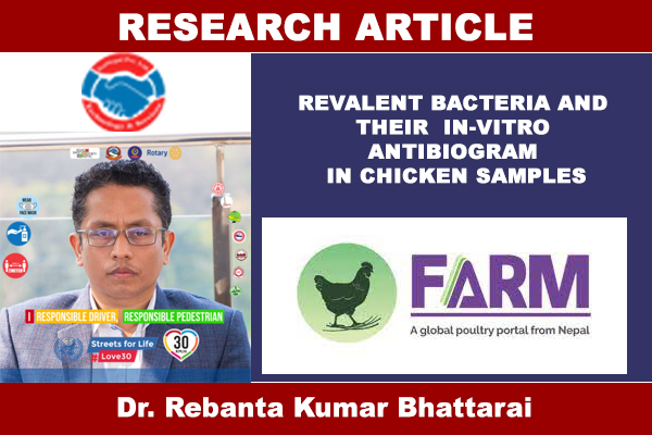 REVALENT BACTERIA AND THEIR IN-VITRO ANTIBIOGRAM IN CHICKEN SAMPLES