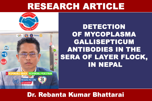 DETECTION OF MYCOPLASMA GALLISEPTICUM ANTIBODIES IN THE SERA OF LAYER FLOCK, NEPAL