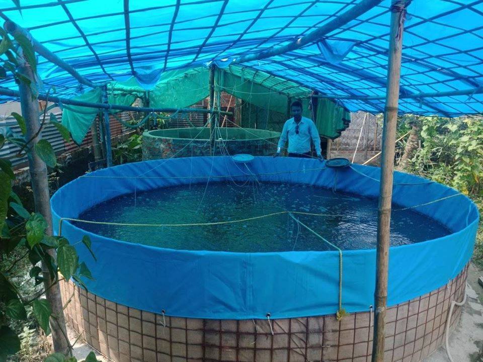 Practices of Fish farming in Biofloc culture | Vet Nepal