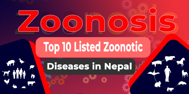 नेपाल सरकारको प्राथमिकतामा रहेका १० जुनोटिक रोगहरू